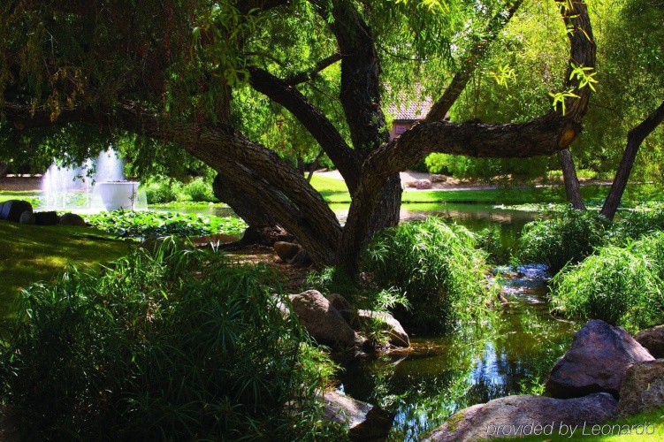 Fairmont Scottsdale Princess photo 24