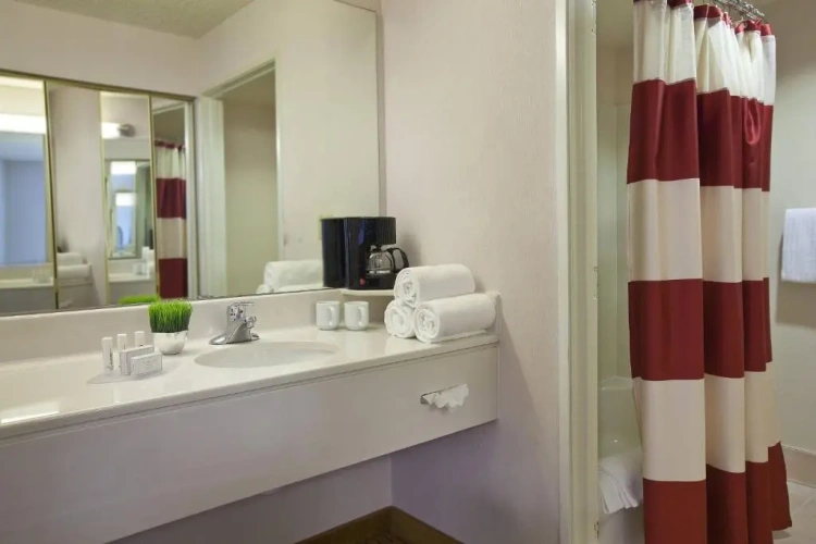 1 Bedroom Suite