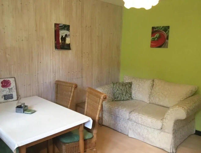 Basement Apartment