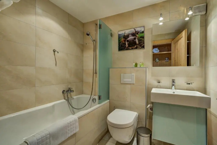 Chalet Auriane