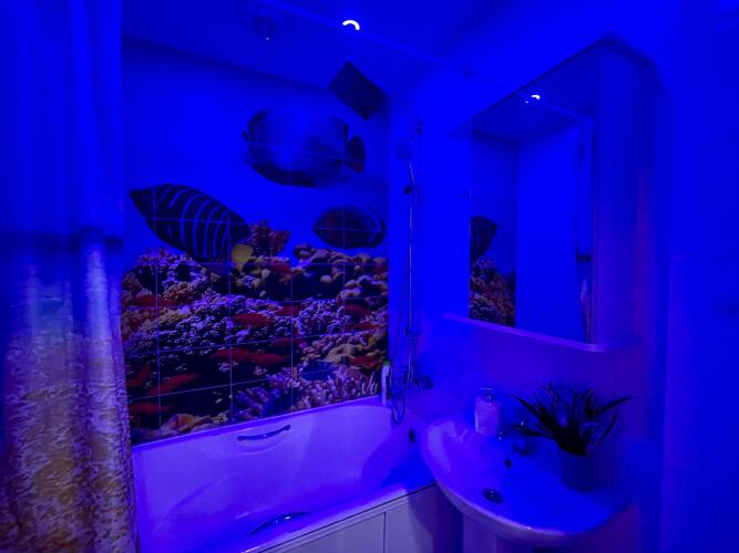 Фотография номера квартиры Yousinn (Юсинн) на улице Бориса Богаткова 213