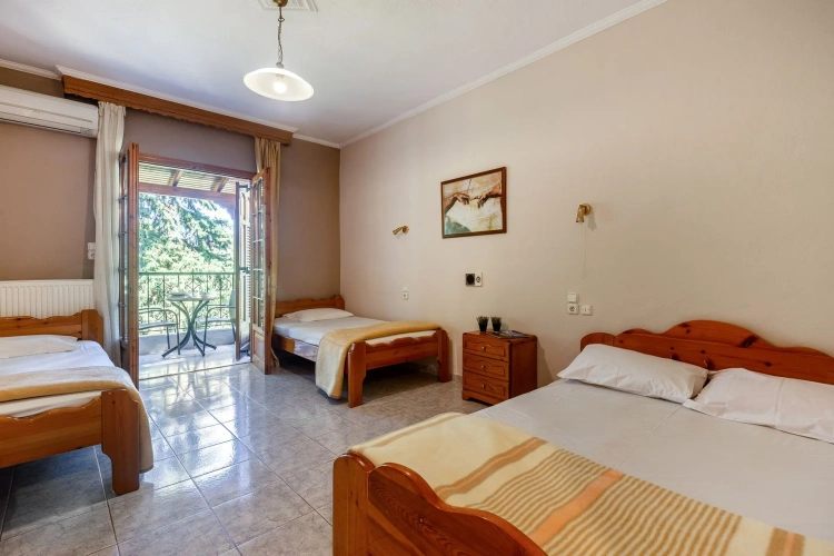 Standard Double room with balcony and with view