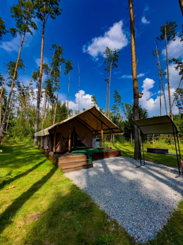 Фотография номера базы отдыха Отрада