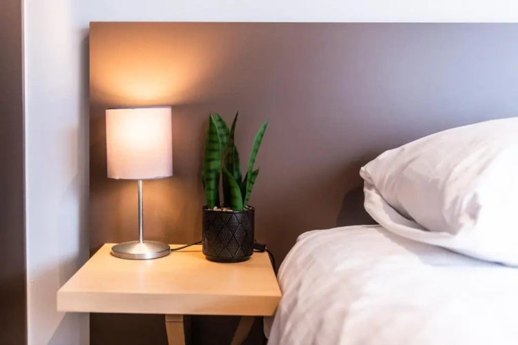 1 Bedroom Superior Twin Suite