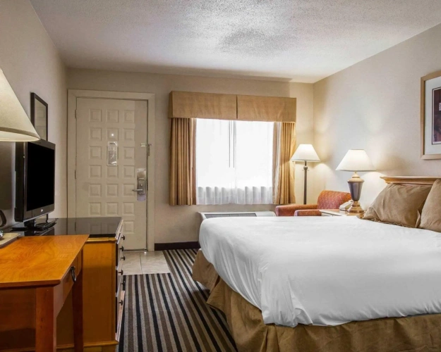 Standard room