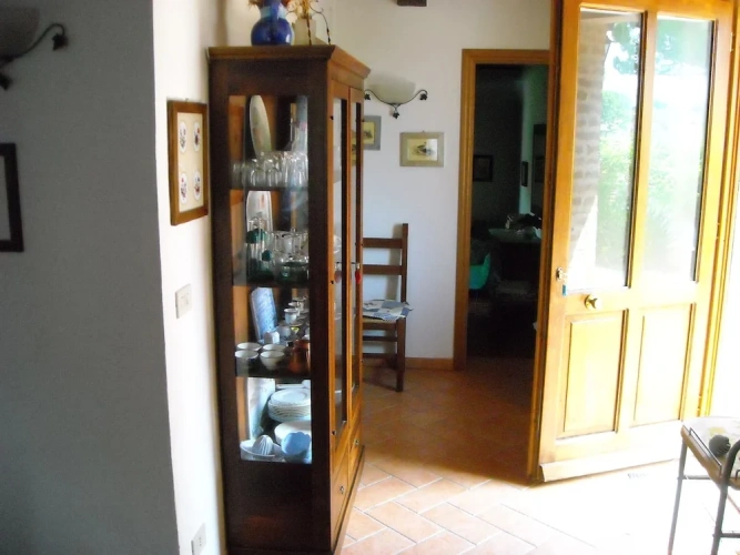 Basement Apartment