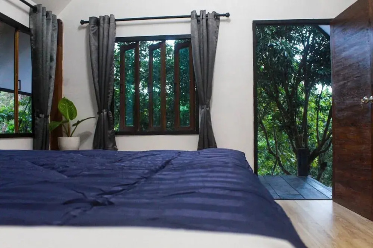 Jungle guest house