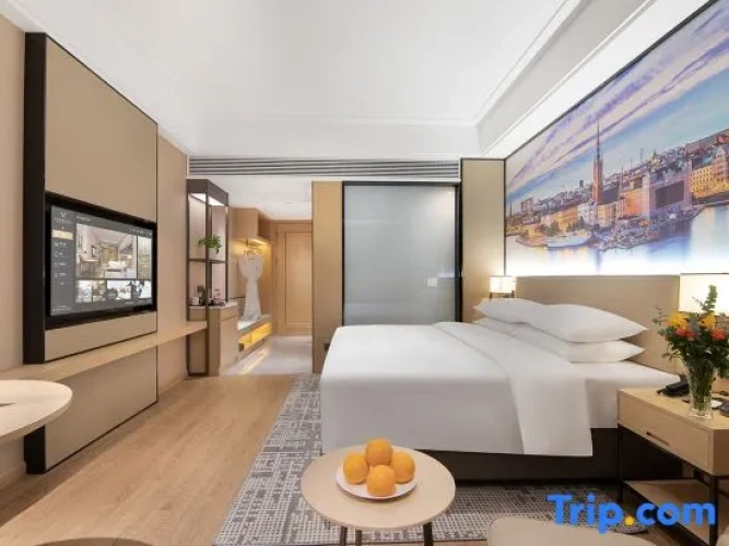 Standard Double room with city view