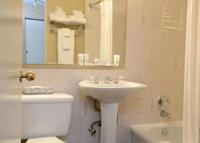 1 Bedroom Suite