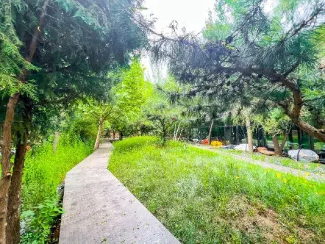 Wanshenggu ART Homestay, Beijing