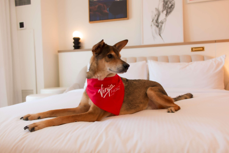 Virgin Hotels Las Vegas, Curio Collection by Hilton photo 36