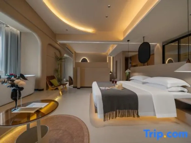 Deluxe Suite with city view