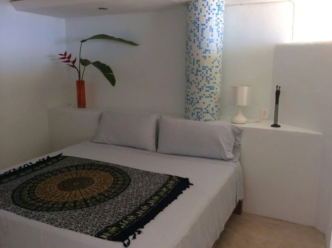 Agave del Mar