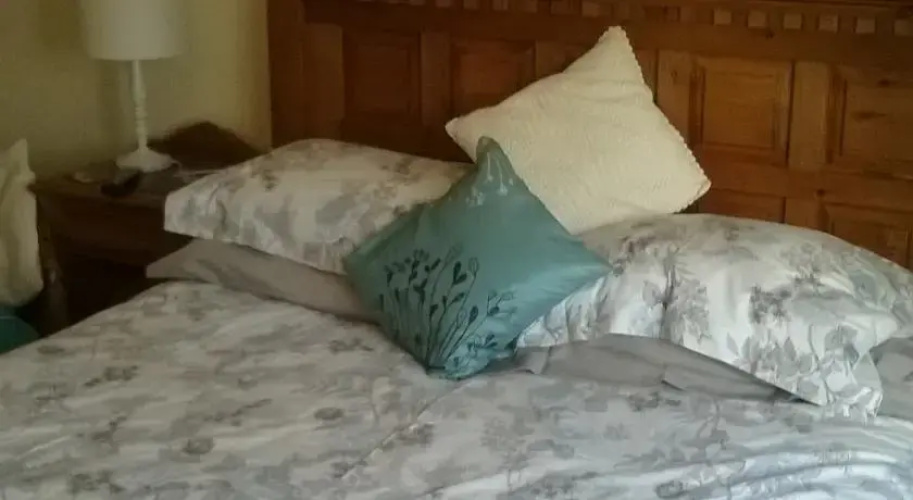 Oak Tree Cottage B&B