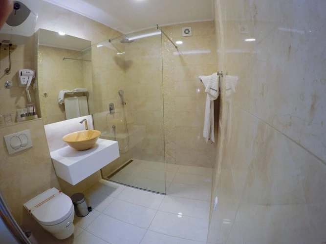 Deluxe Twin room with city view