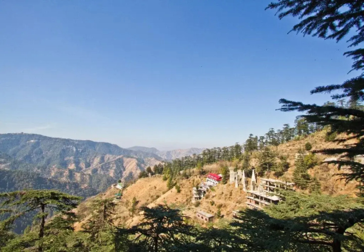 The Bodhi Tree B&B