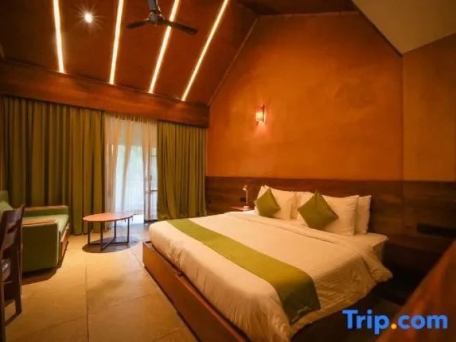 Standard Double room with garden view
