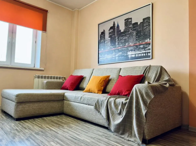 Фотография номера квартиры Диван и чемодан в Горском 11