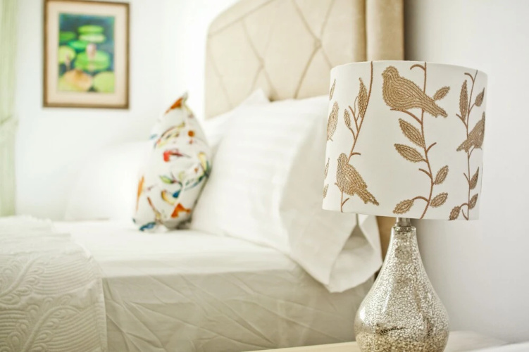 Cattleya's Green Suite Exquisite