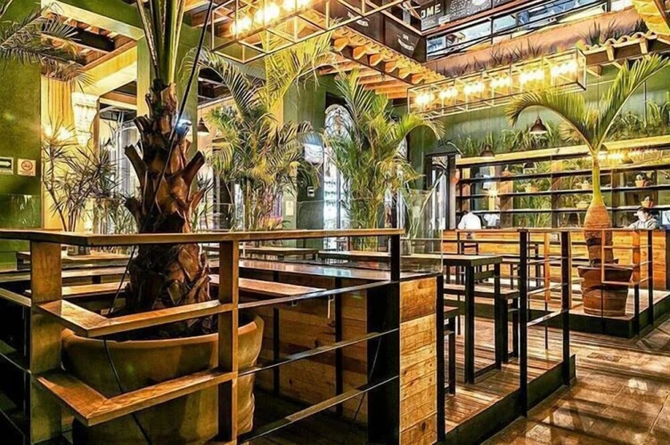 Mexico Hostel