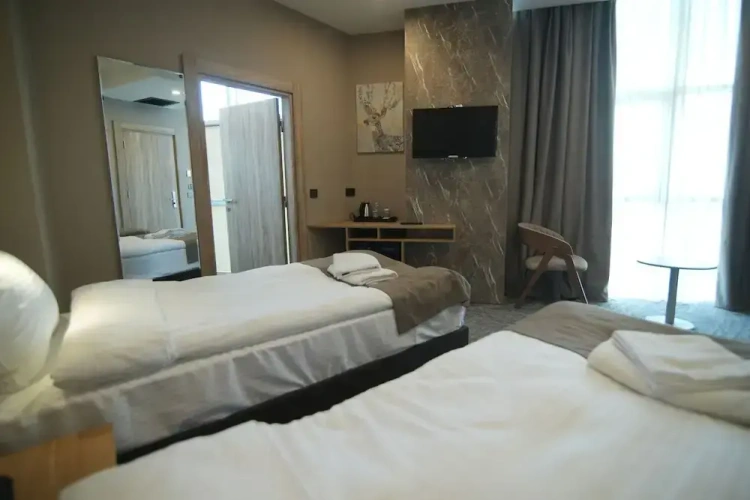 Standard Twin room with city view
