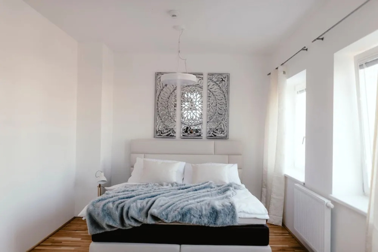 Luxury Apartments Zelny Trh