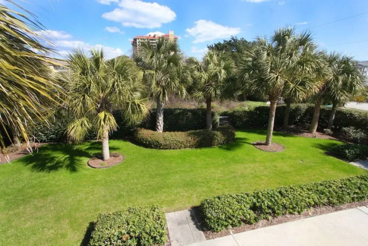 Fifty Palms by RedAwning
