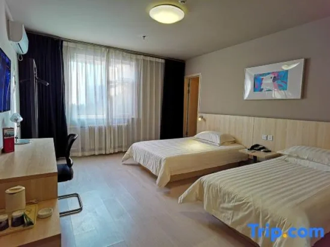 Superior Twin Family room