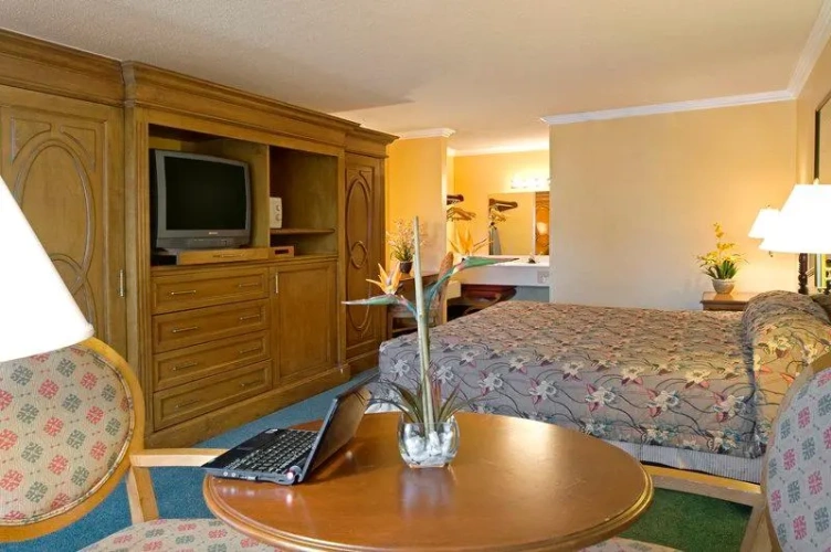 Triple Suite