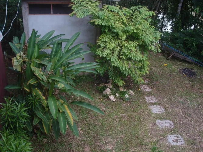 Standard Single room with garden view