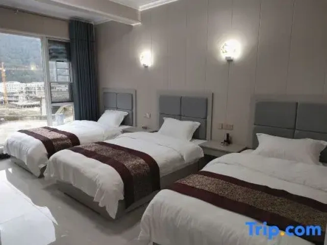 Deluxe Triple room with city view