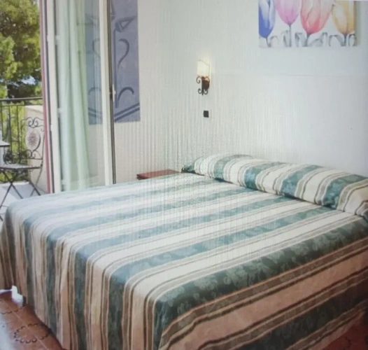 Standard Double room with balcony and with garden view
