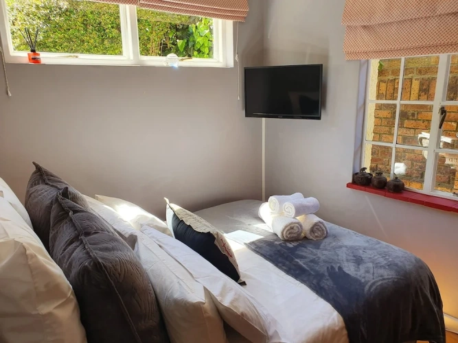 Luxury Apartment