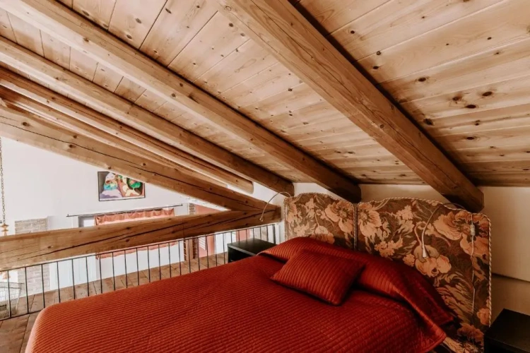 Standard Double room with balcony and with view