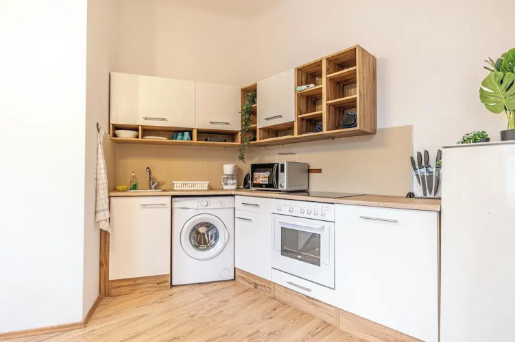 Luxury Flat with Access to Danube