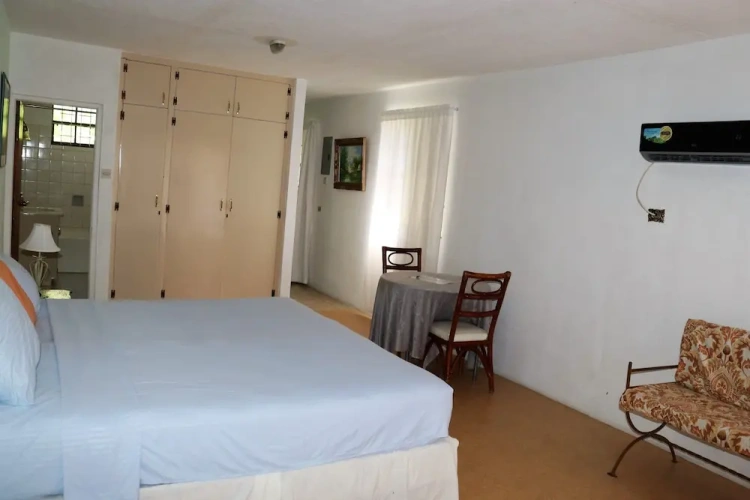 Grand Apartment