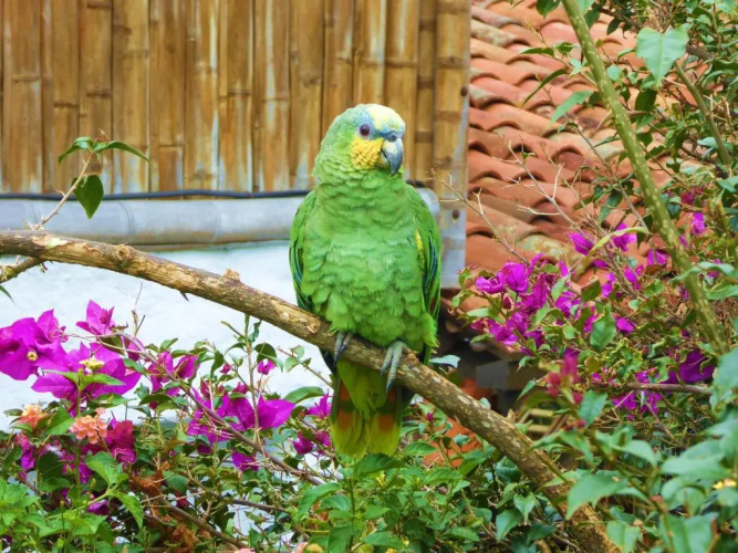 Finca El Cielo