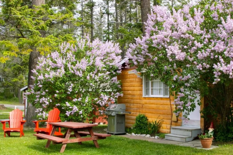 1 Bedroom Cottage