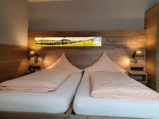 Junior Suite with balcony and with view
