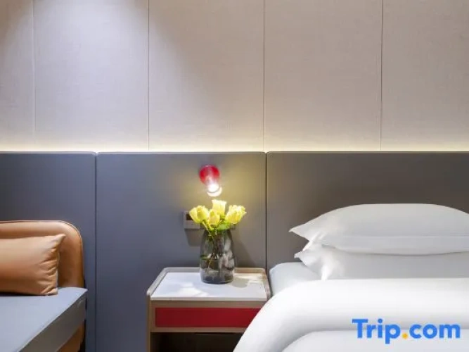 Standard Double room with city view