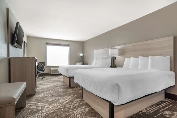 Standard Quadruple room