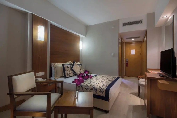 Standard room with balcony and with land view