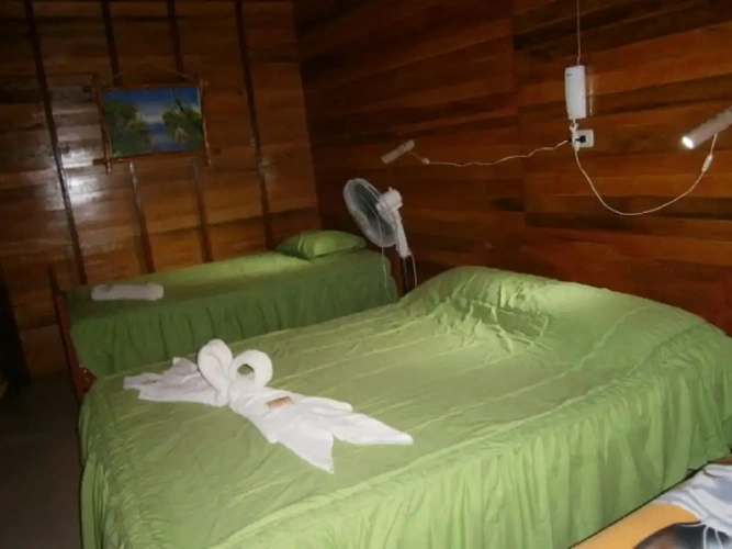Standard Twin room with garden view