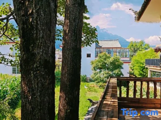 Outside