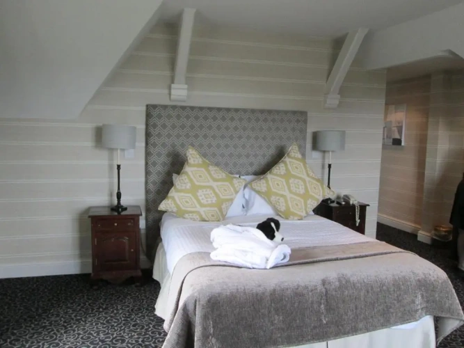 Executive Double room