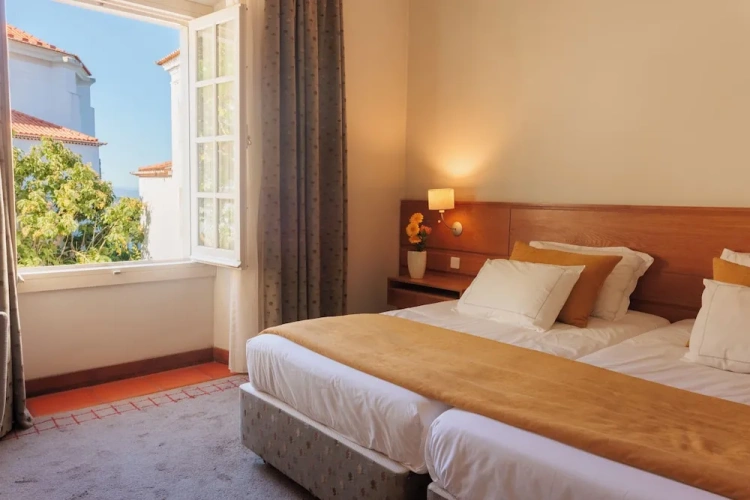 Luxury Twin room with city view