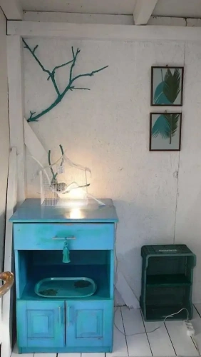 Bungalow