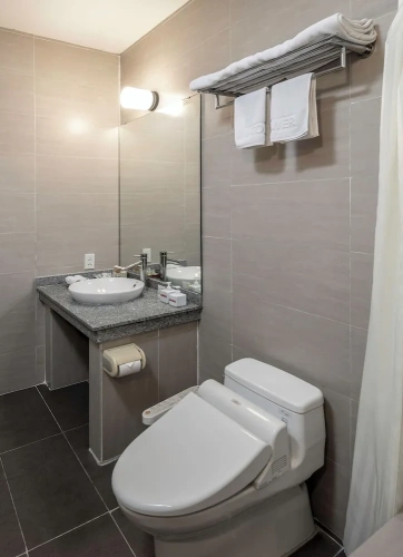 1 Bedroom Deluxe Apartment with balcony and with city view