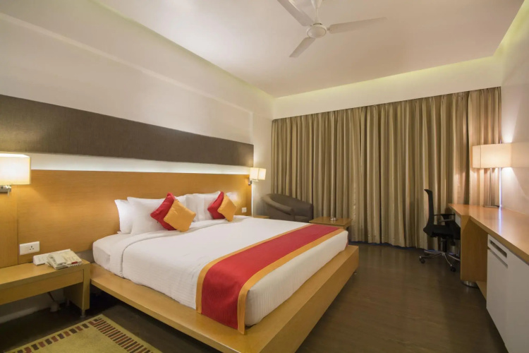 Dolphin Hotel