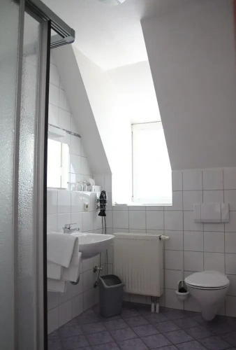 Standard Double room with river view